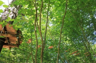  Instalaciones del parque 